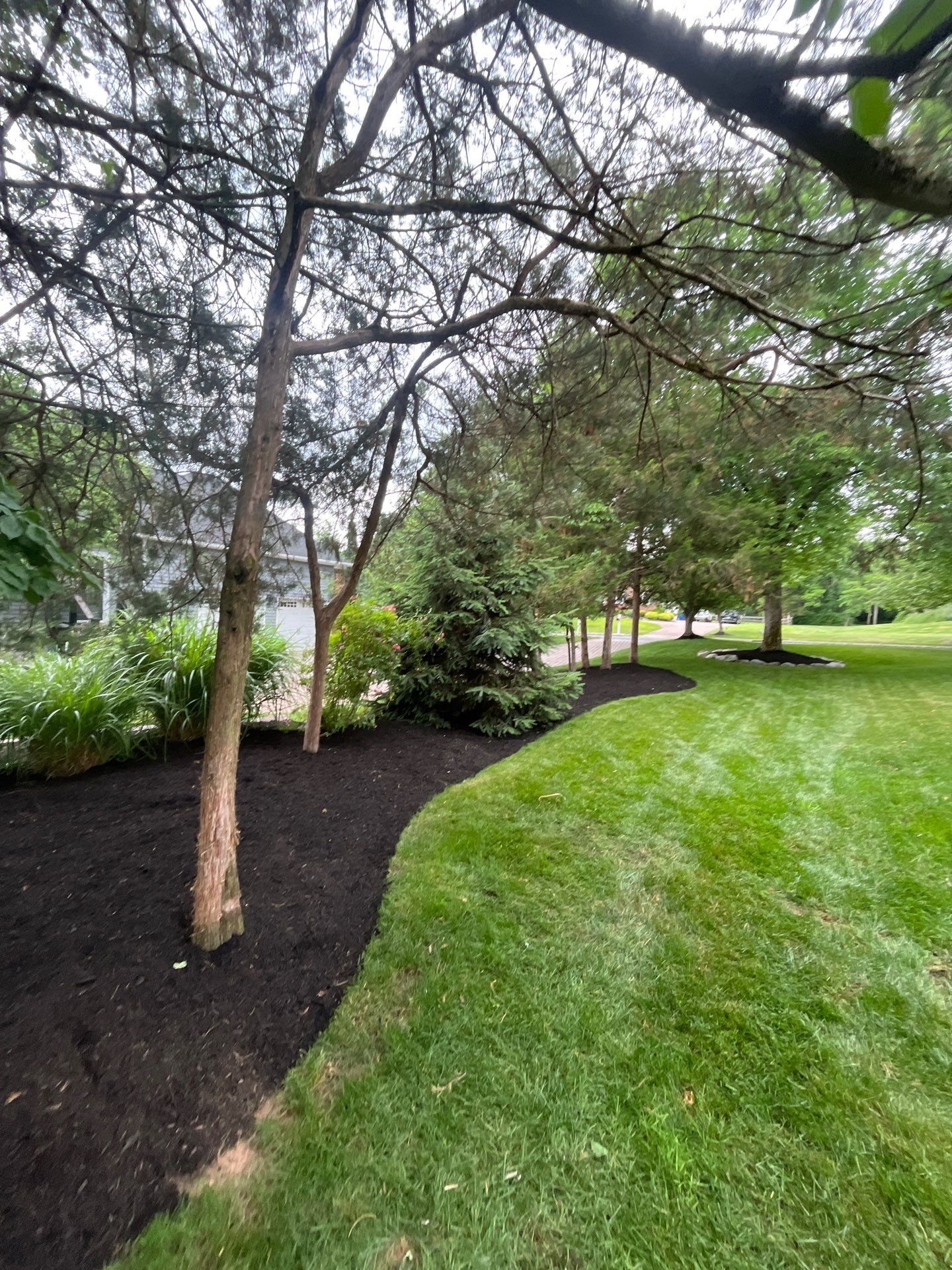 Comprehensive Shrub and Ornamental Bed Maintenance in Basking Ridge by Ants Plants