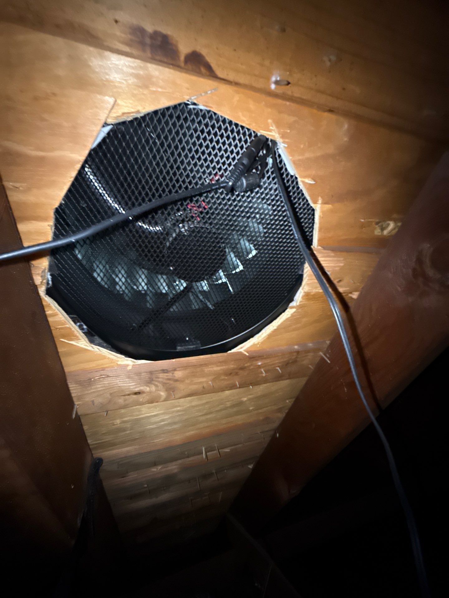 ADAM J by Boss Hogg Roofing