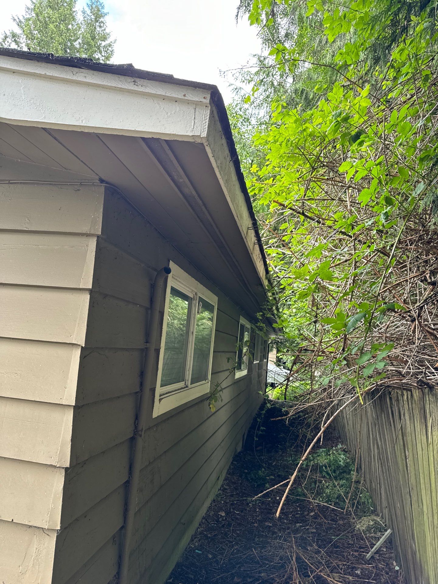 Project in Everett by Peaks and Valleys Construction