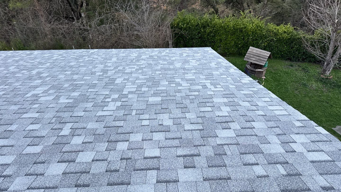 Project in Calfax  by NuLead Construction Inc