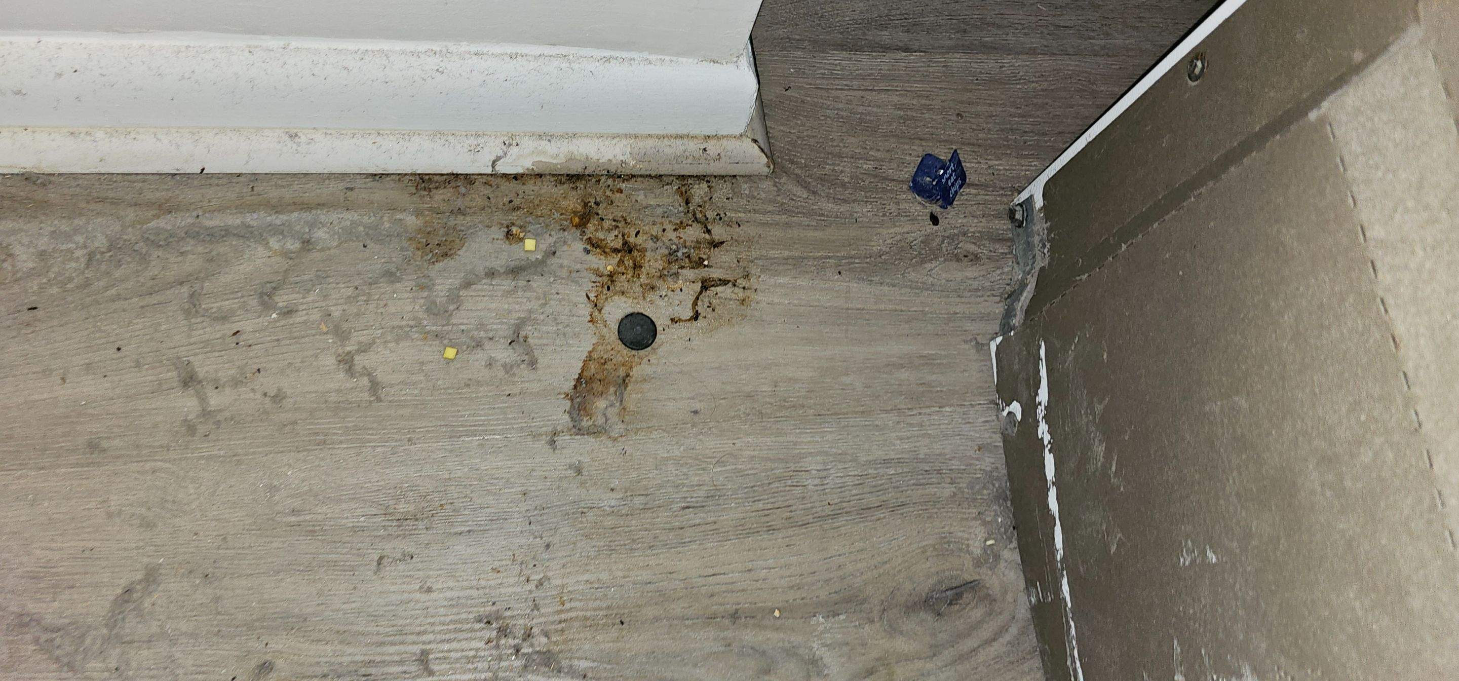 Water Damage Claim in Deerfield Beach by FLAPA & KeyStone