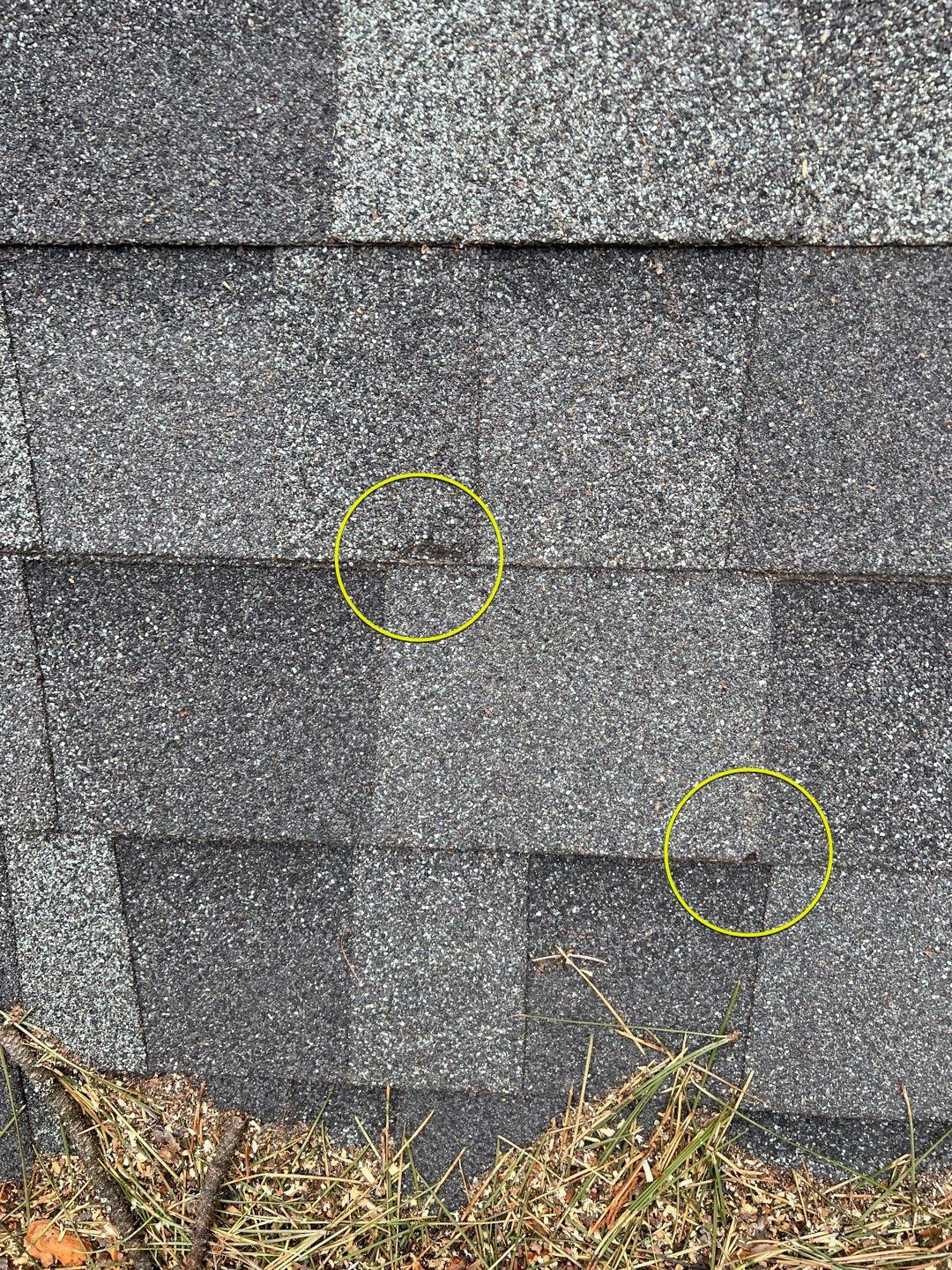 Green Snap Lock Standing Seam  by Montana Roofing Solutions