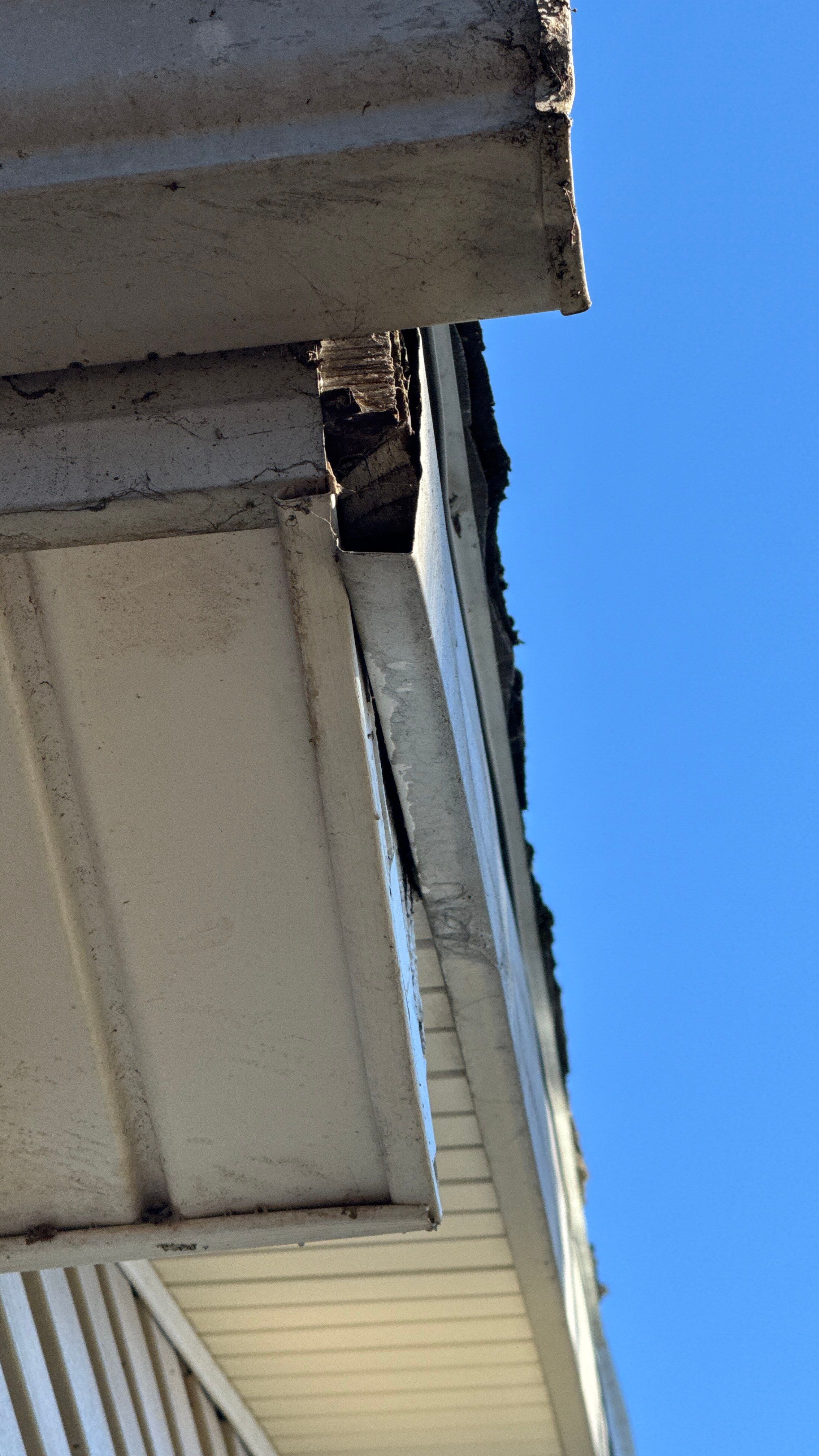 Roof Leak Repair + Fascia/Drip Edge & Gutter Reset - Belleville, IL by Legendary Services Company LLC.