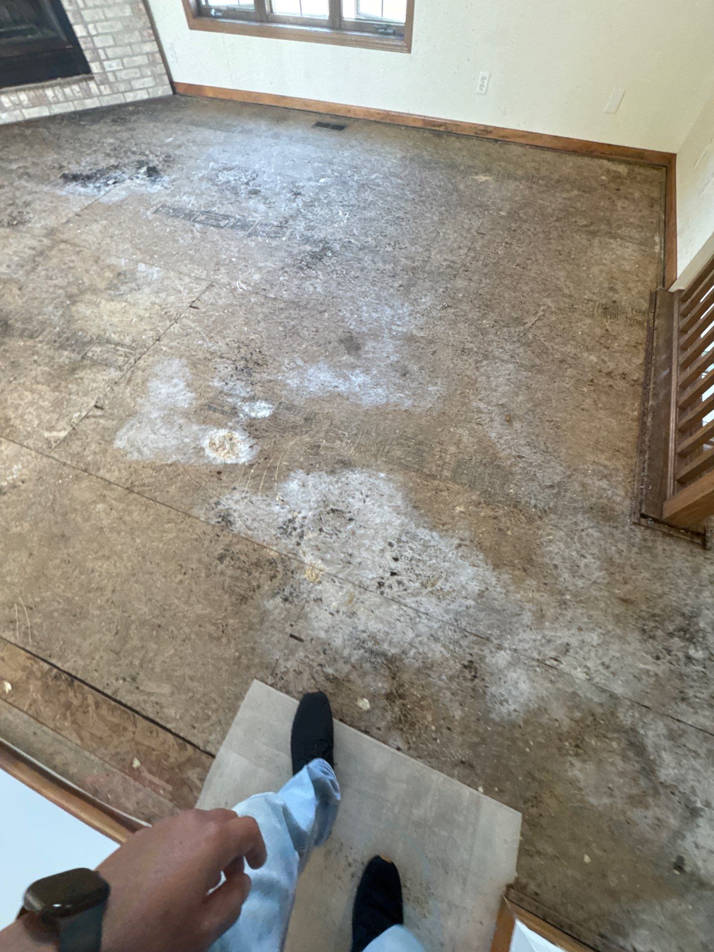 Project in Richmond by EzDry Water Mitigation & Property Restoration