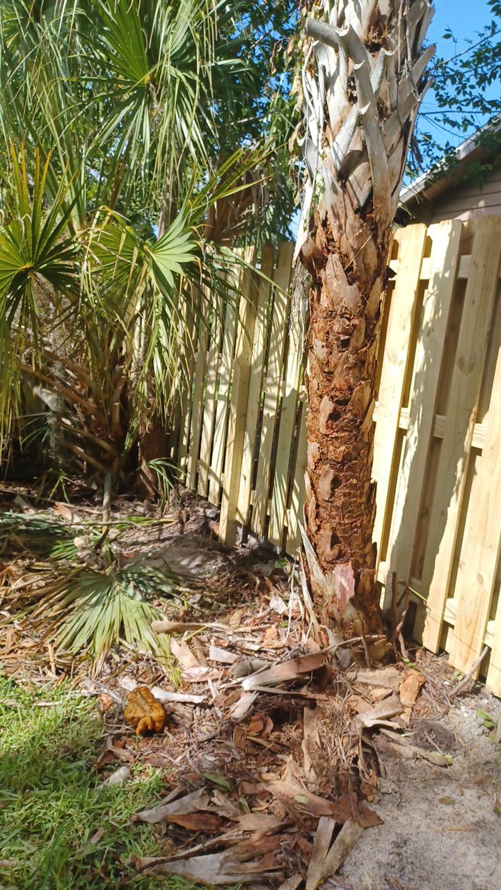 Nokomis, FL 6ft. Tall Treated Wood Shadowbox  by Asap fence and gates, LLC