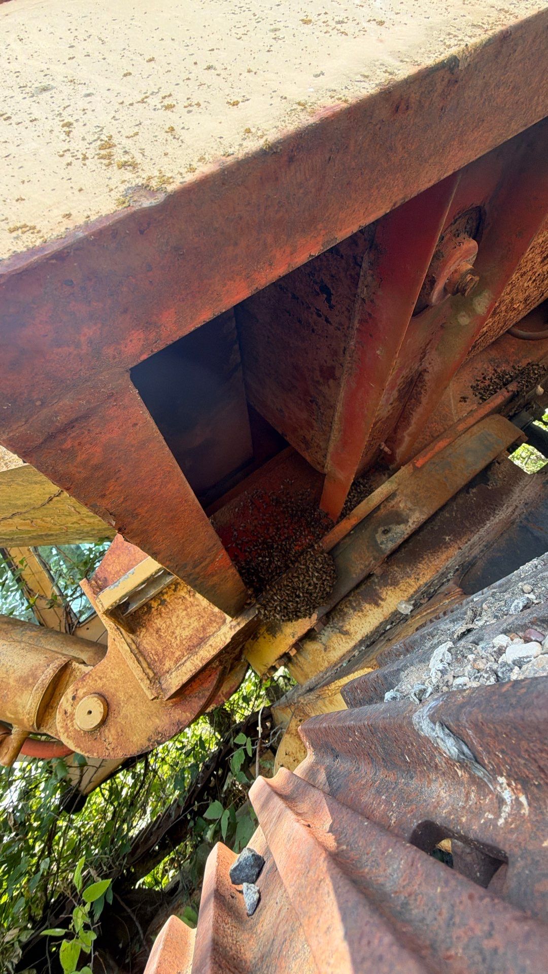Backhoe Bees by Rockwall Honey Bee Company