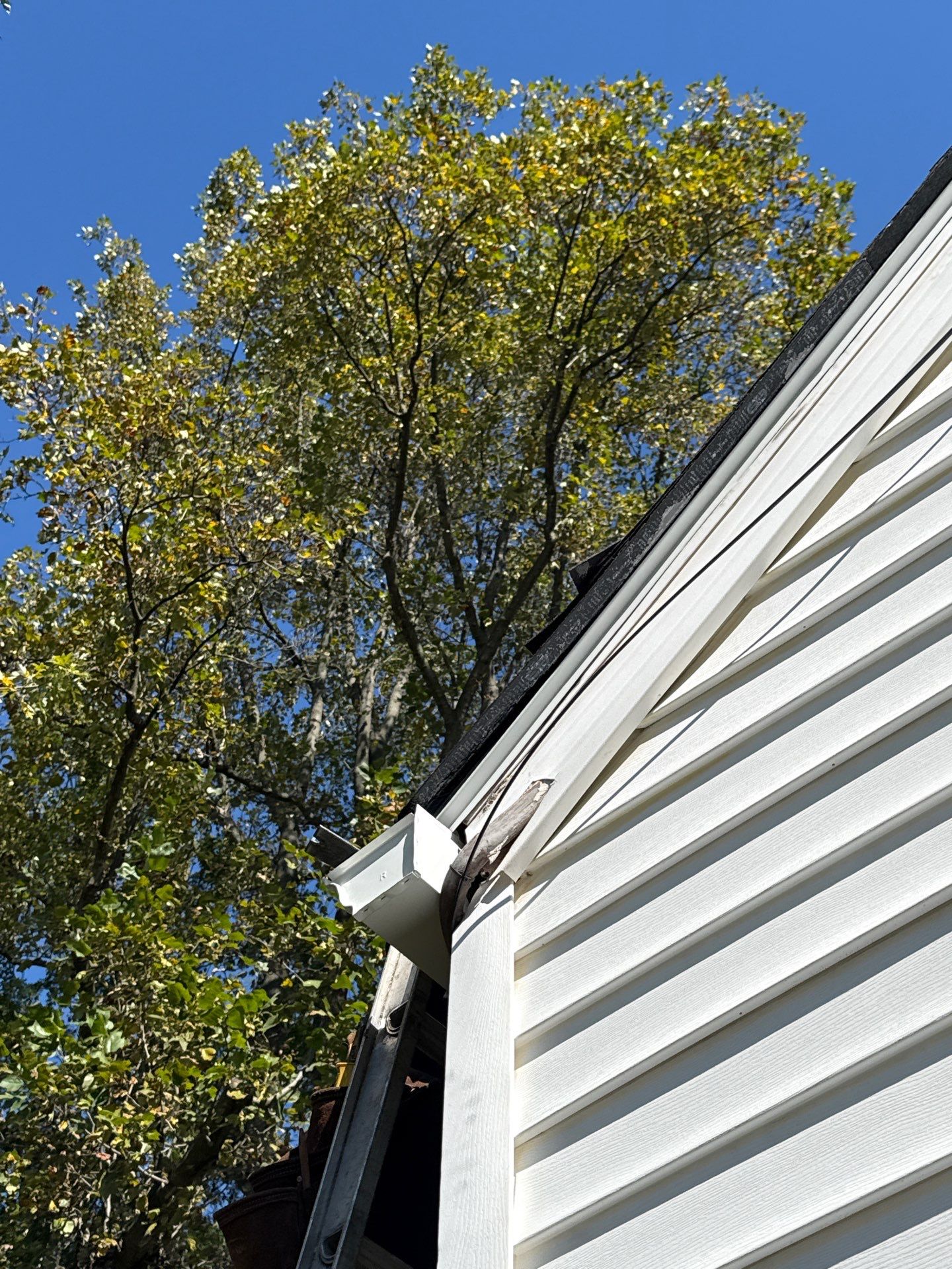 Falls Church  : Residential Roof Replacement with CertainTeed Landmark Pro in Max Def Georgetown Gray by RM Banning, Inc.