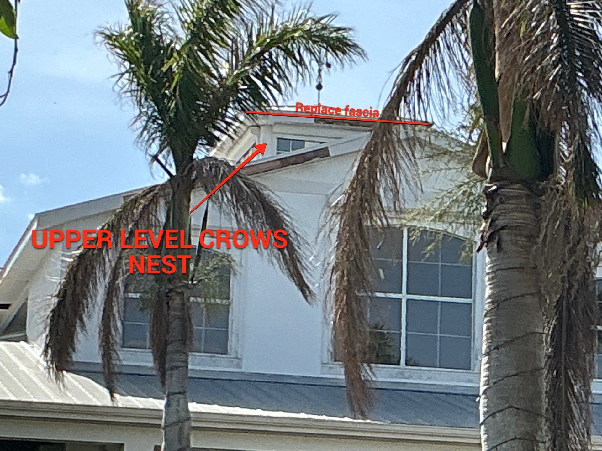 Seamless Gutter Installation for Beach Homes in Sarasota FL by Gutter Professors