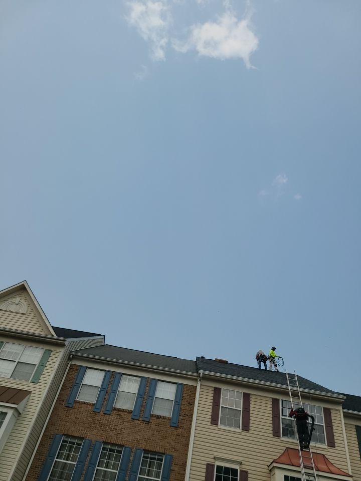 Sterling: CertainTeed Landmark Designer Shingles in Pewter by RM Banning, Inc.