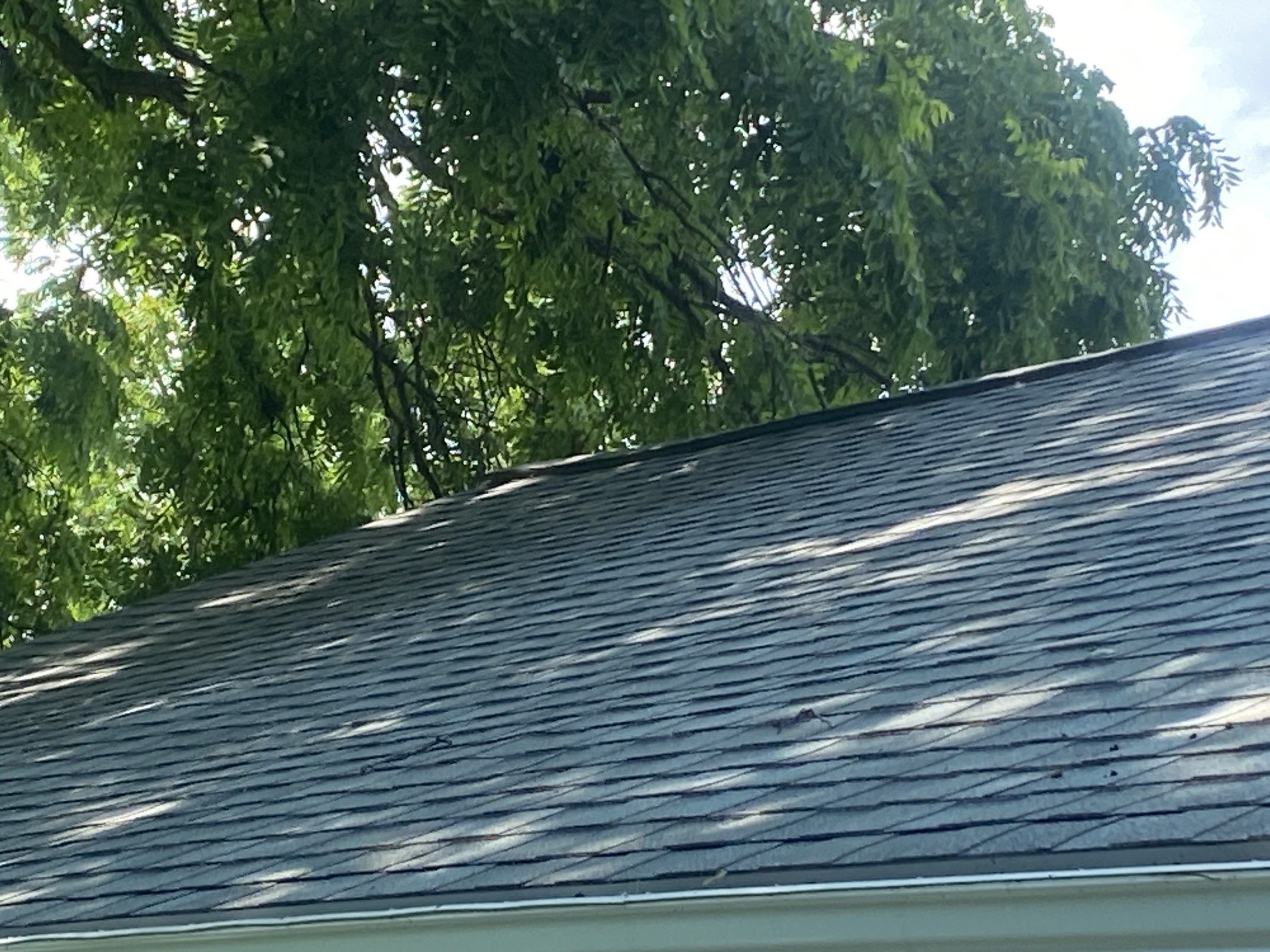 Roof Replacement using CertainTeed Landmark by 180 Contractors