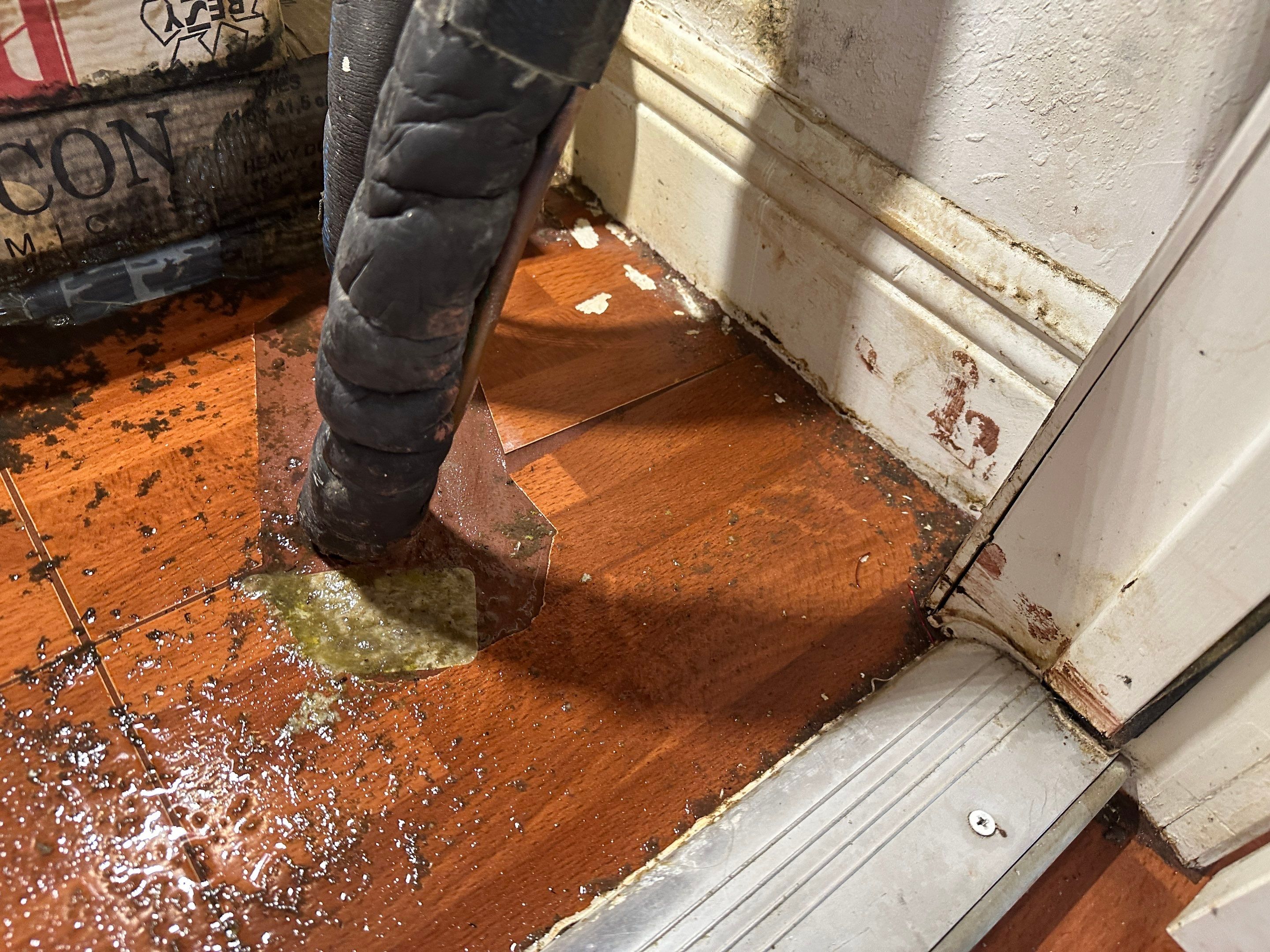 Water Damage Claim in Hollywood by FLAPA & KeyStone