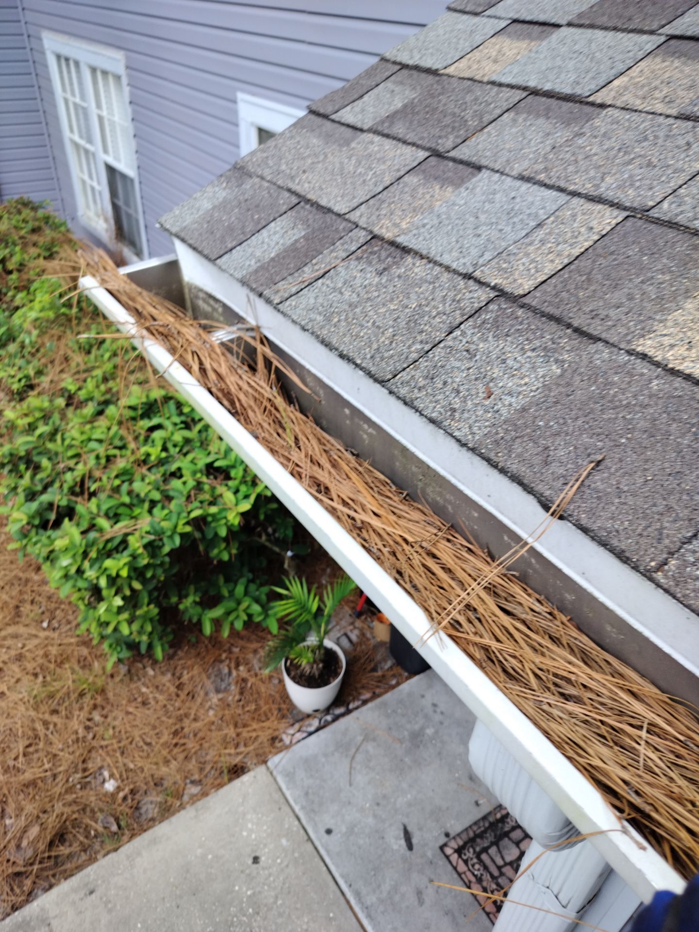Commercial gutter cleaning Kissimmee & St. Cloud, FL before photo with filled gutters