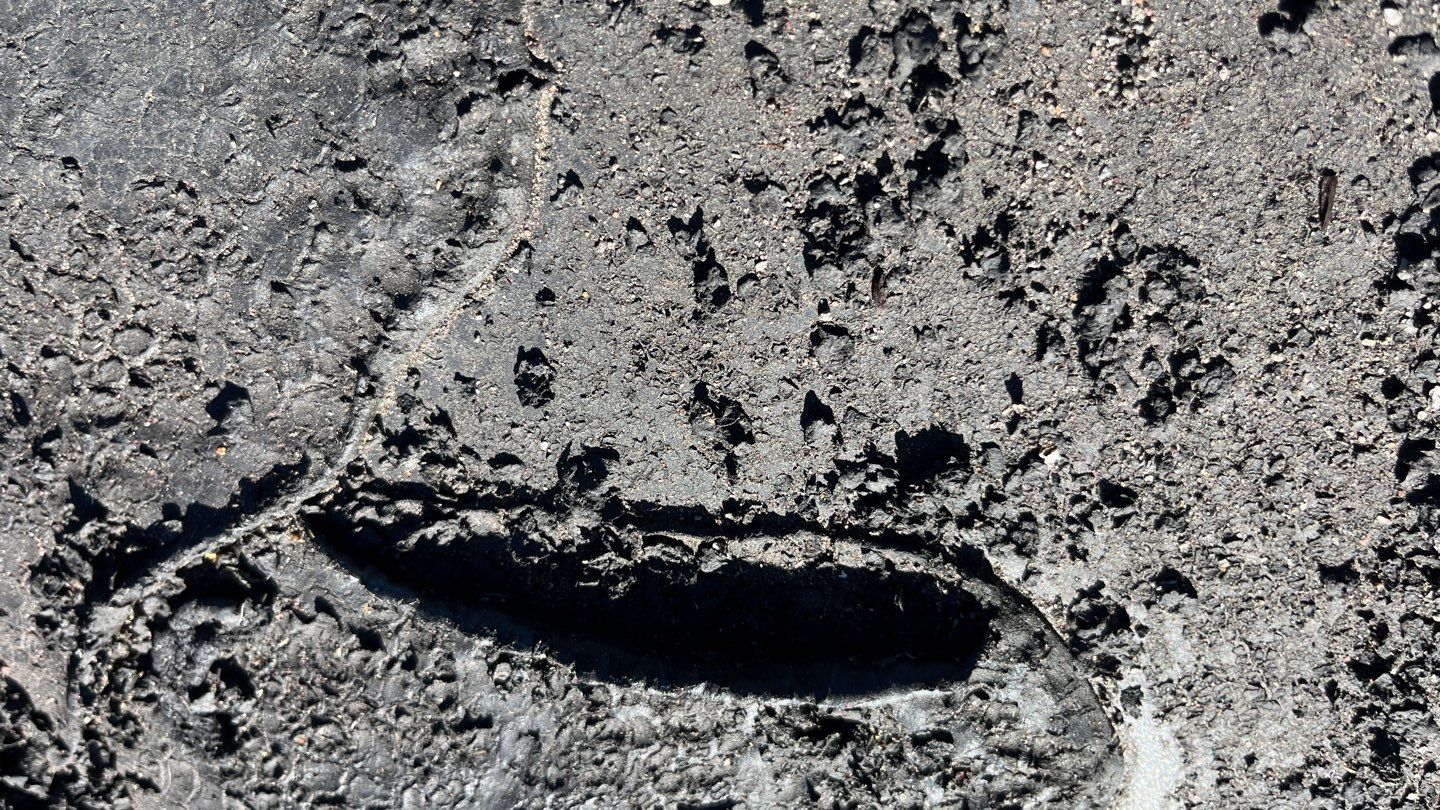 First Christian Church  by KISH RESTORATION 