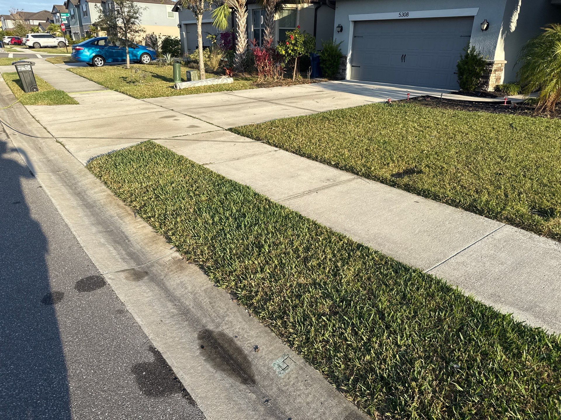 🚿 Trevesta Community Driveway & Lanai Cleaning | Palmetto, FL Pressure Washing 🚿 by Sunshine AquaWash