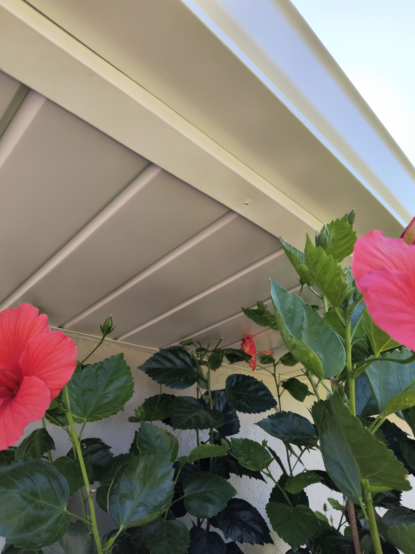 Fascia and Soffit Repair with New Gutters  by Gutter Professors