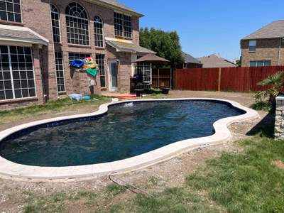 Freeform Pool with Tanning Ledge and Stone Decking