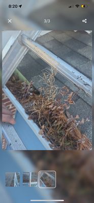 Gutter Cleaning in Cranbury, NJ