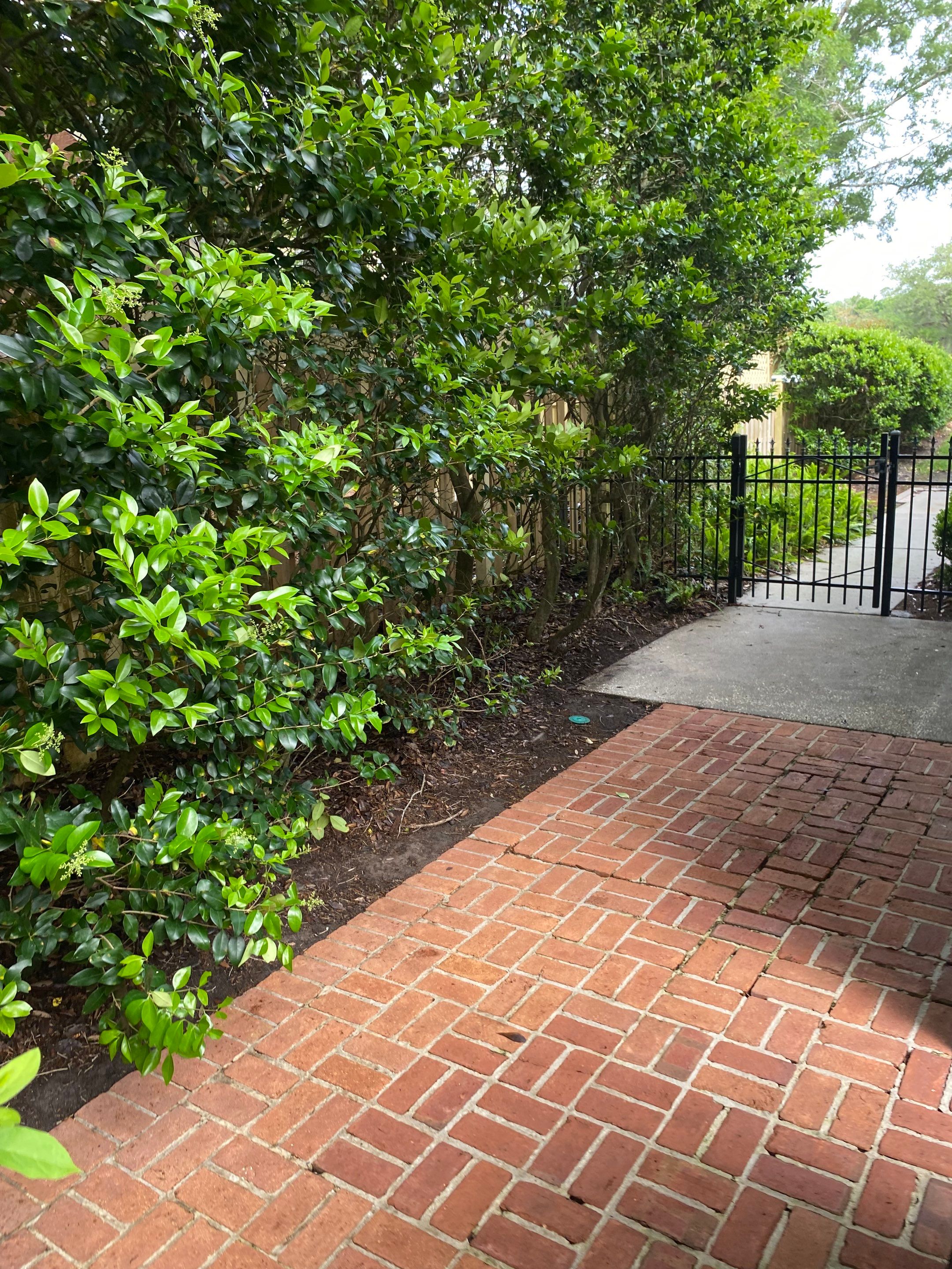 Deerwood Resident | Pine Straw Installation by ProGreen Services