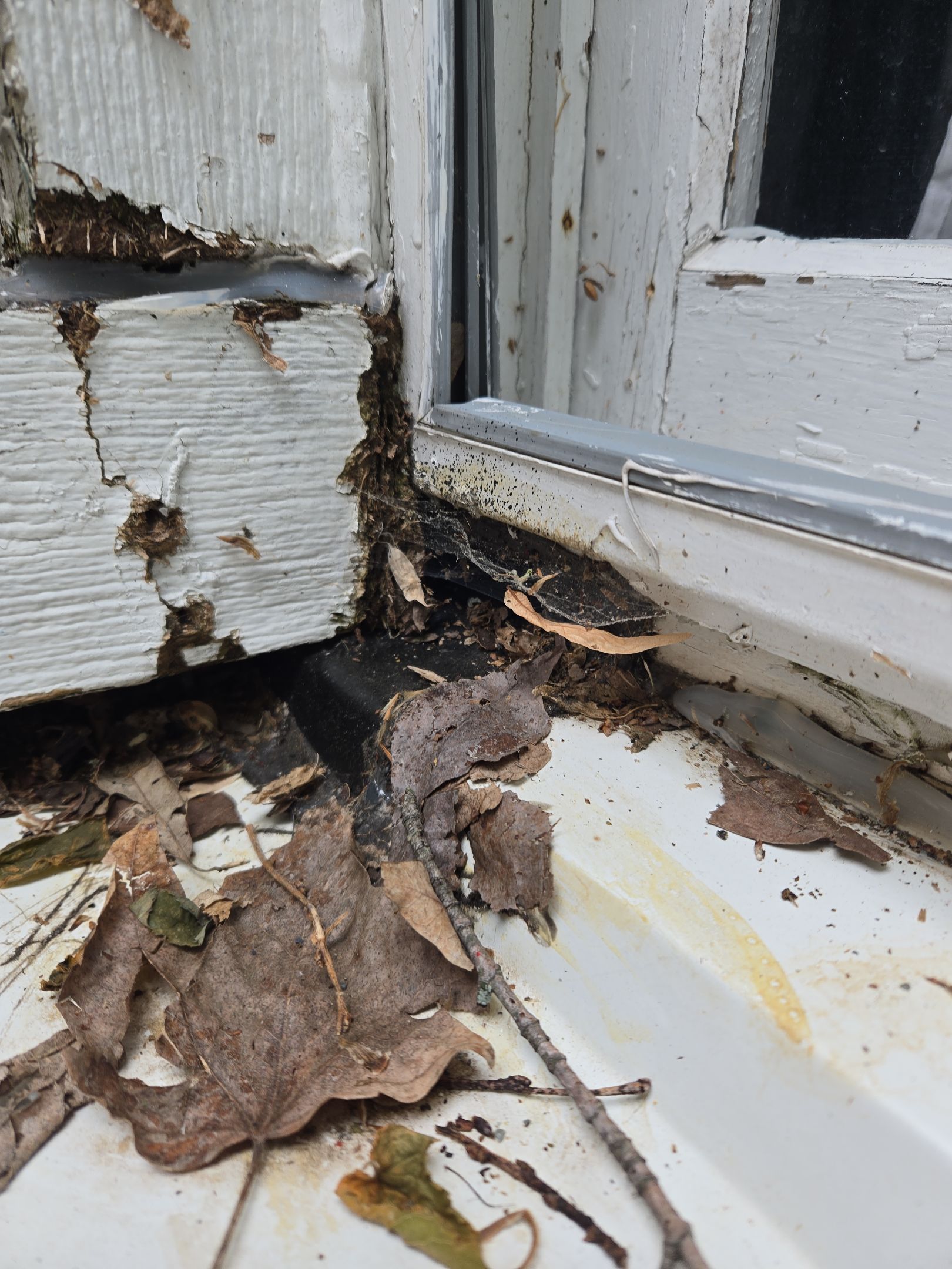 Comprehensive Gutter and Roof Maintenance Assessment in Dayton by Level Up Roofing and Restoration Services LLC