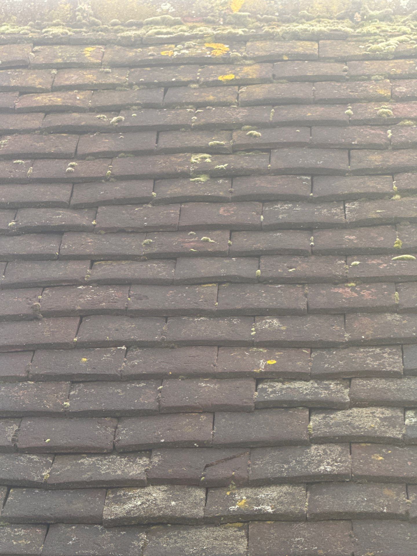 Exterior Clean - Roof - Patio - Driveway using Mosmatic FSC and Biocide by Ges Exterior Cleaning ltd