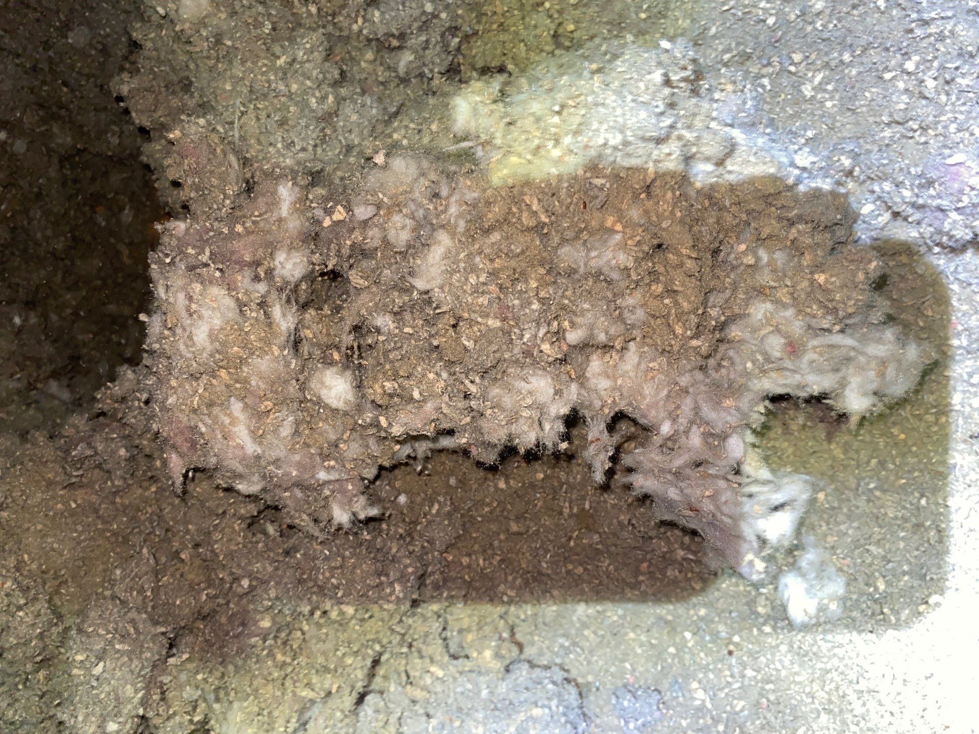 Seven Fields, PA – Attic Cleanup and Air Sealing for Better Comfort by Home Environment Solutions