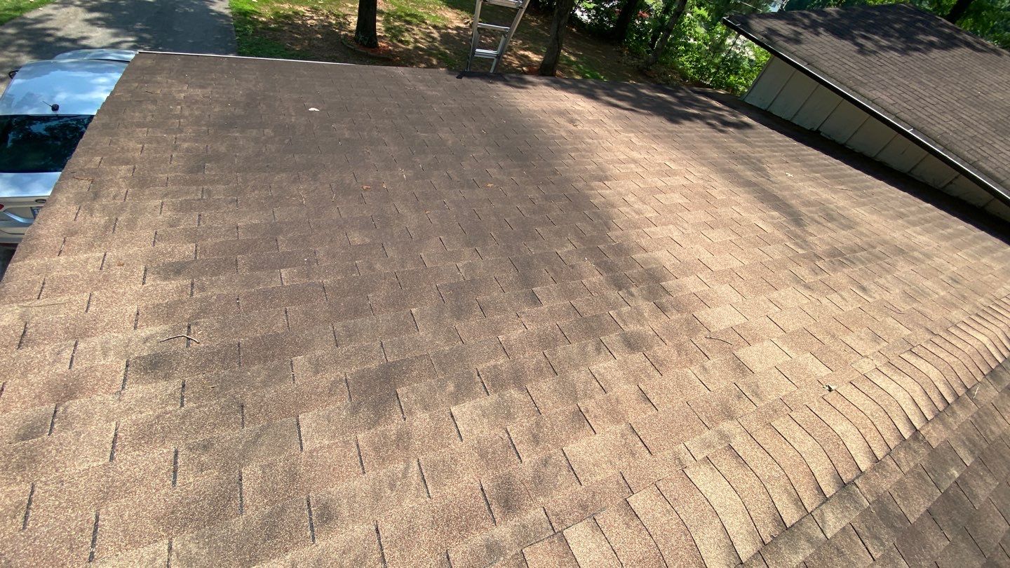 Radical Color Transformation by Georgia Roof Advisors