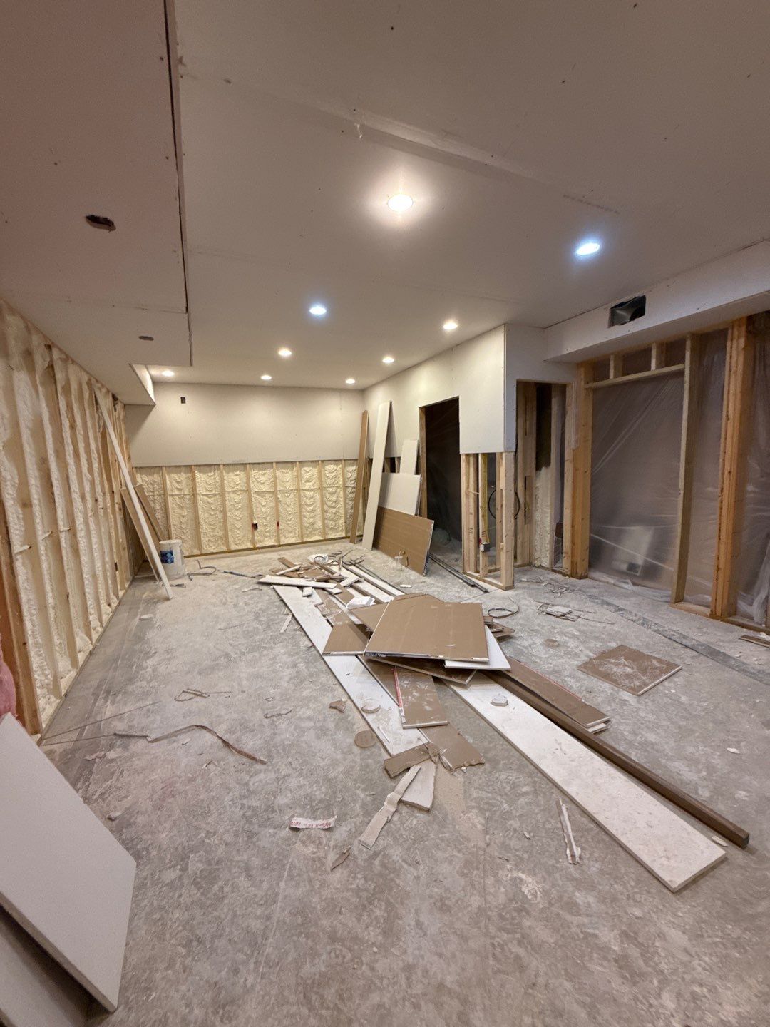 Basement Finishing Project with Home Gym and Sauna in Prospect by Authentic Carpentry