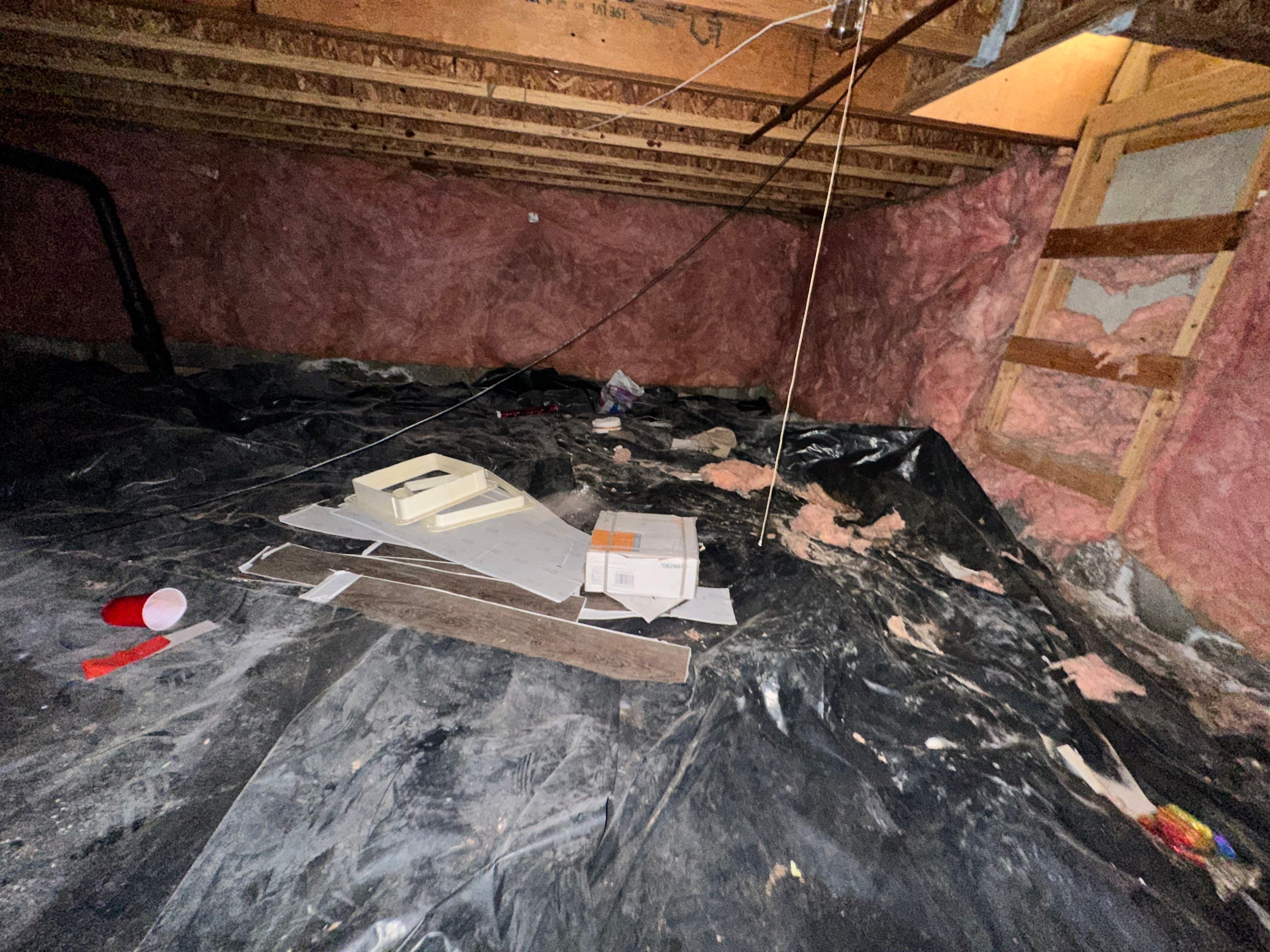 Mold Removal in Brighton, CO by Alpha Restoration 