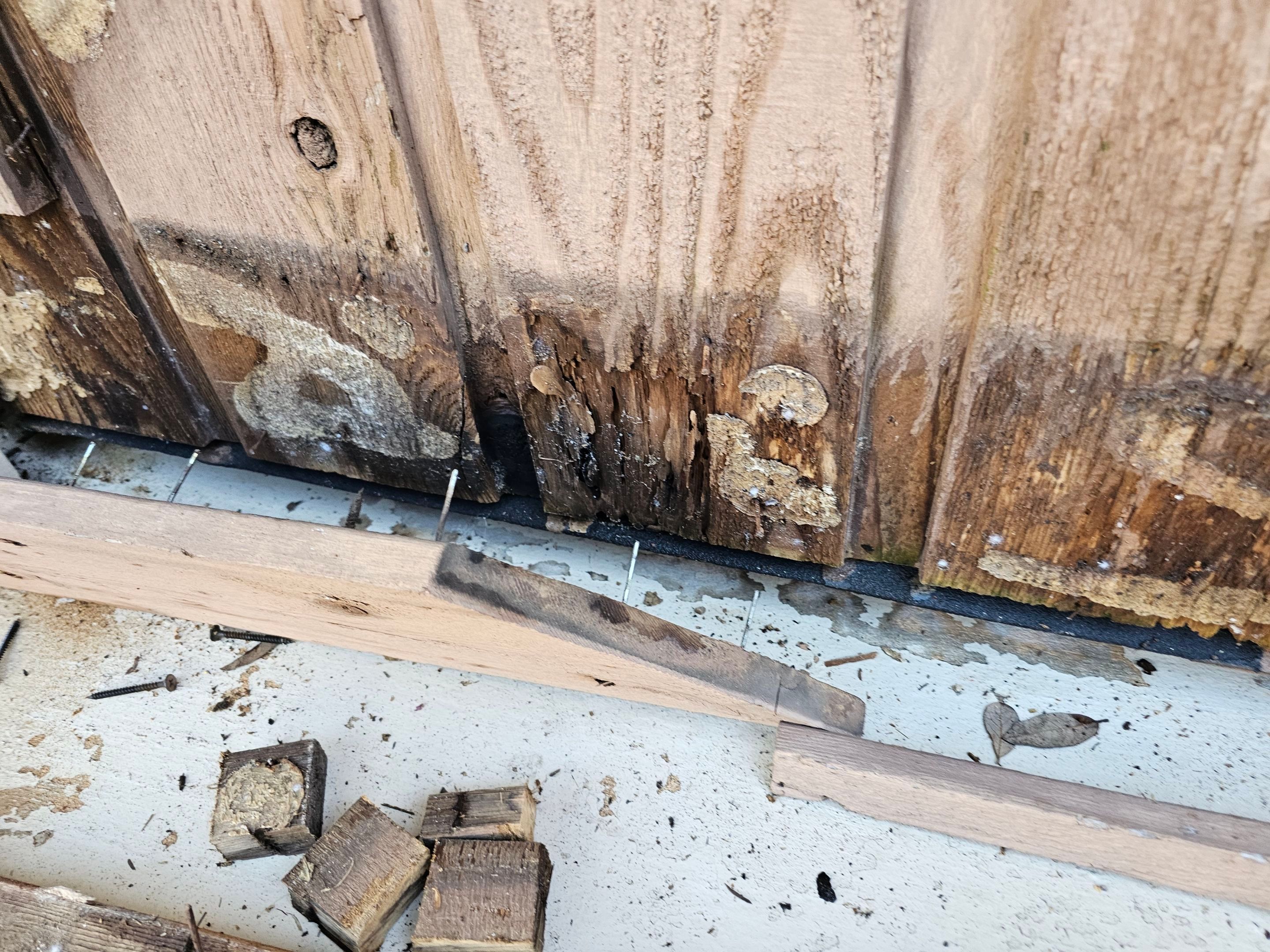 Exterior & interior paint, Garage door repairs, roof replacement & leak repairs by EL-GC LLC 