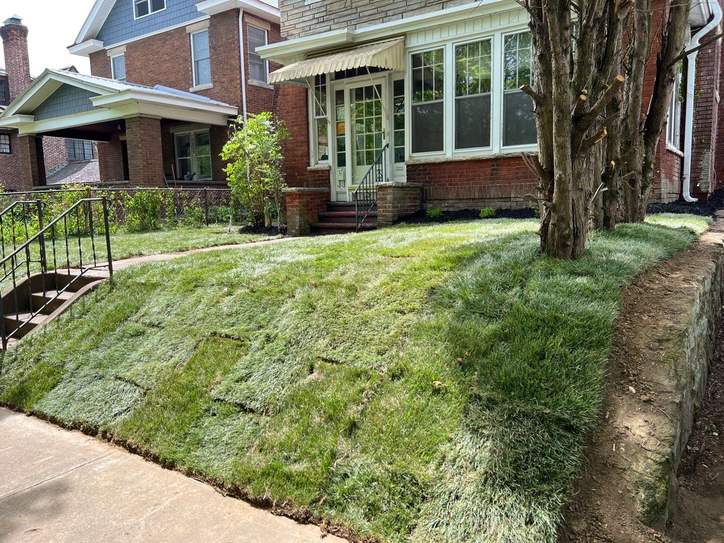 Sod Installation using Fescue Sod by GrassBusters, Inc.