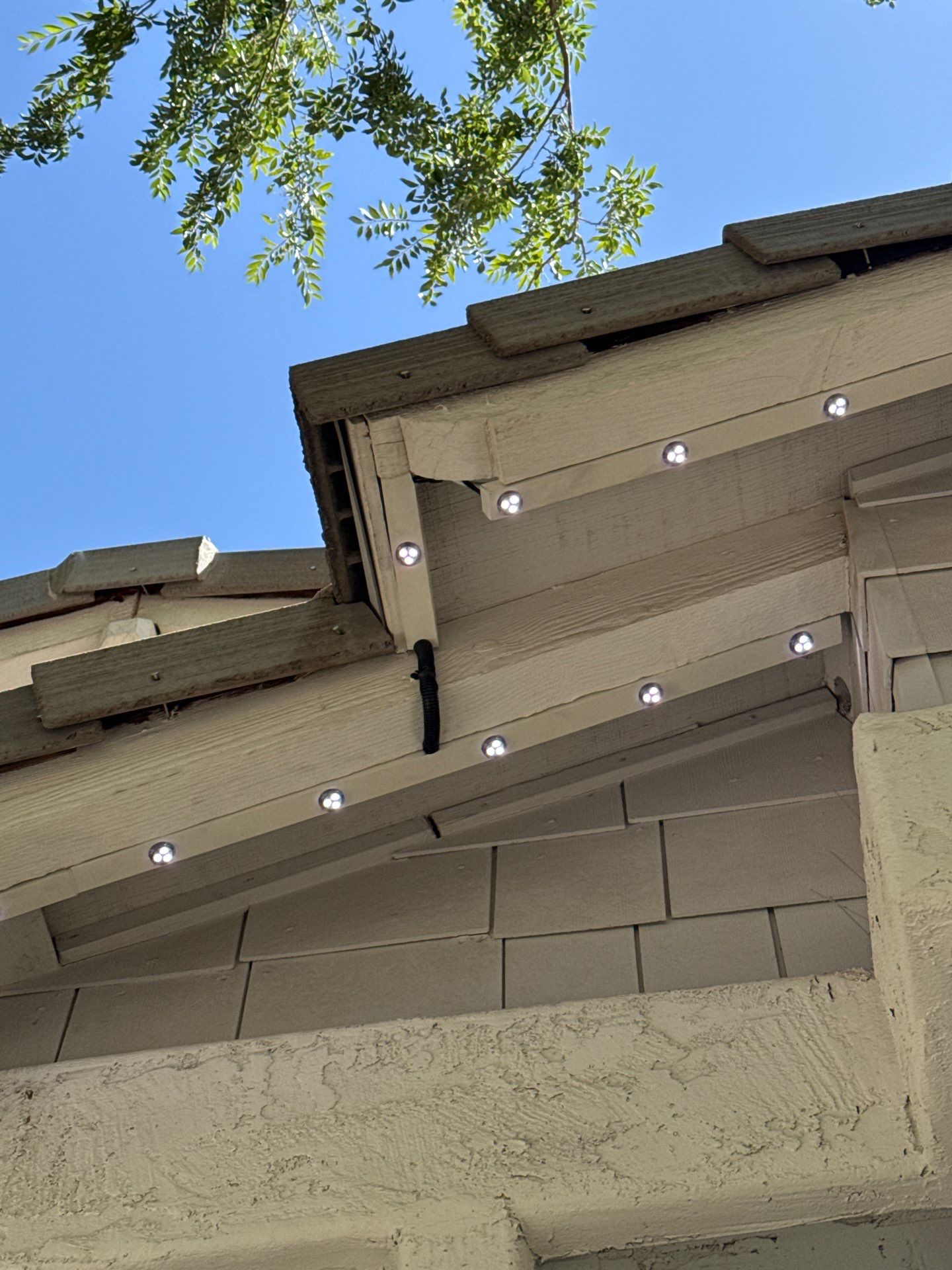 Project in Gilbert by Big Pig Smart Lighting