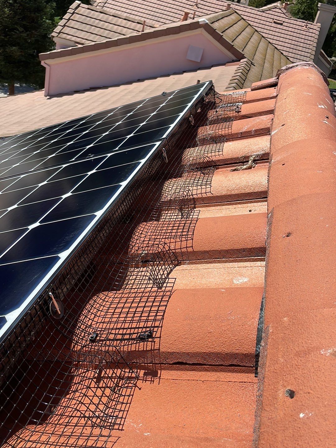Solar Panel Bird Proofing using Critter Guard Mesh by All One Solar Shine
