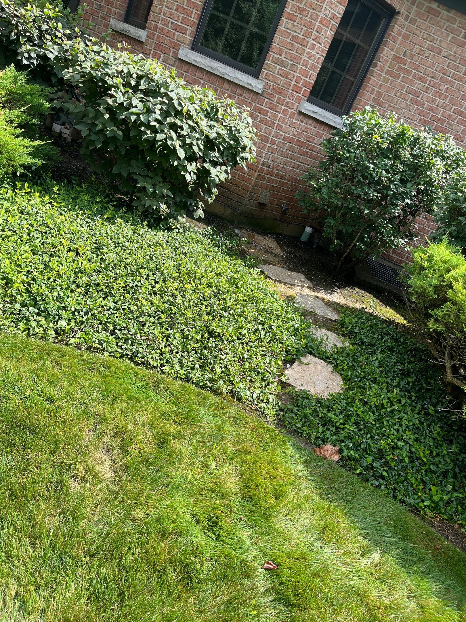 natural stone using Algaecide, soft wash soap by Northern Power Washing LLC.