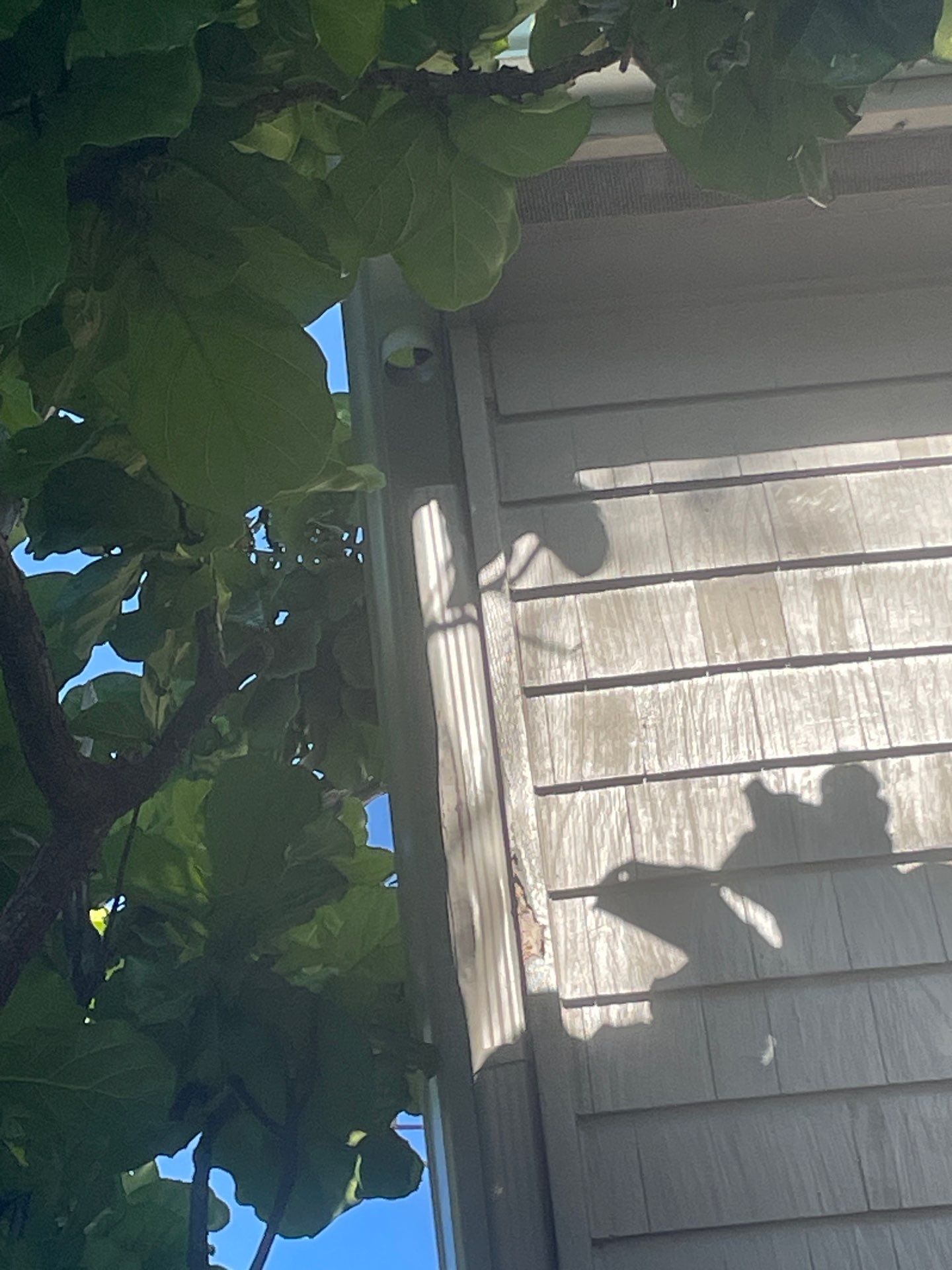 White Gutters Repair and Installation in Sarasota FL by Gutter Professors