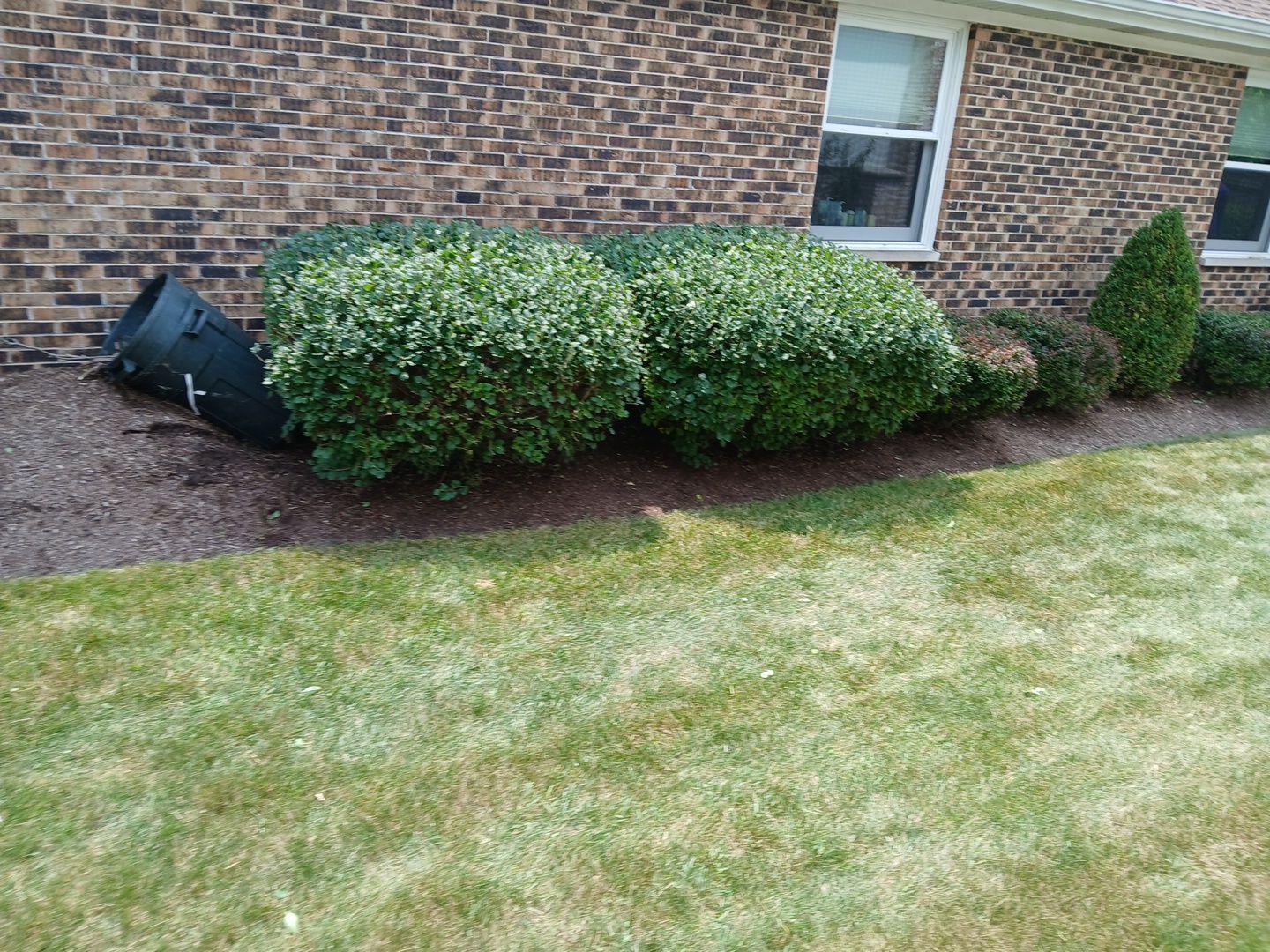 Ed E. - Wheeling, IL by A&N 