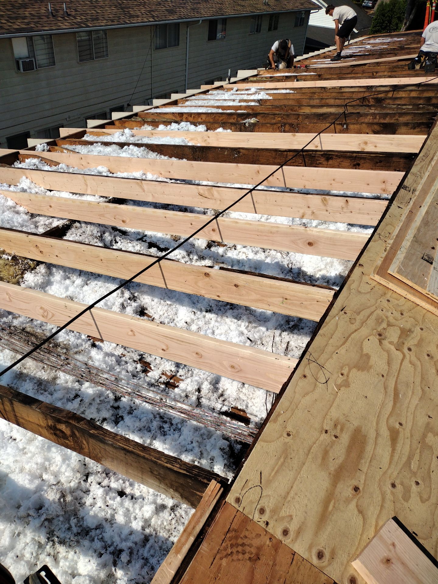 Commercial Flat Roof Installation using GAF 60Mil TPO  by Orezona Building & Roofing Company, Inc.
