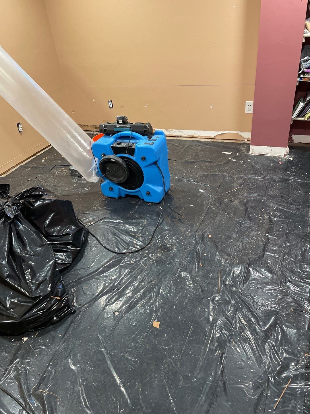 Water Damage and Mold Remediation by Accountable Home Services