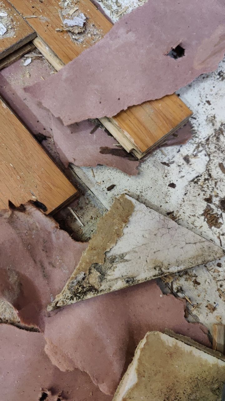 Mold Damage by Accountable Home Services