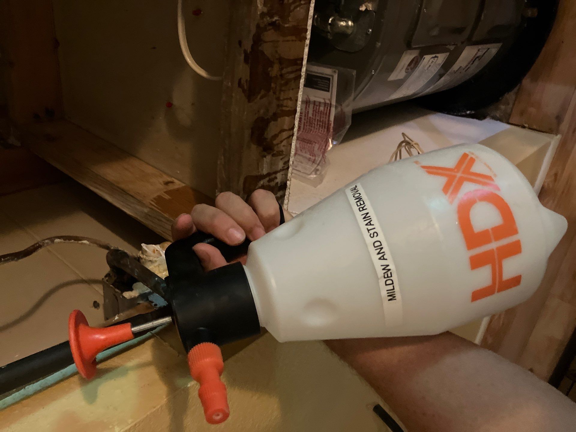Bradenton Mold Remediation by Ampm Restoration Services