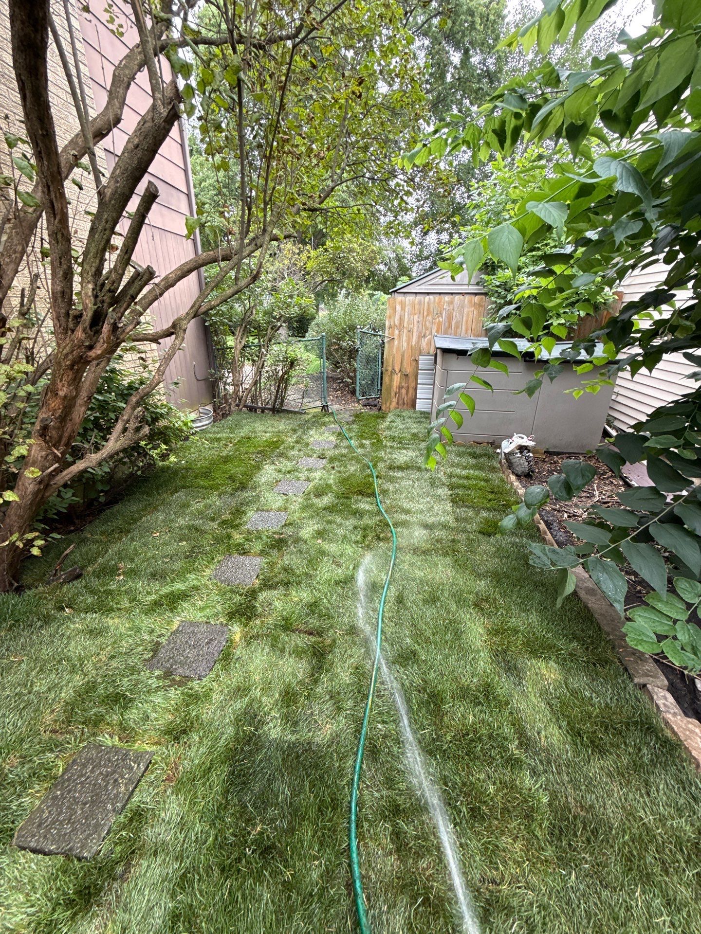 Helana M. - Mount Prospect, IL by A&N