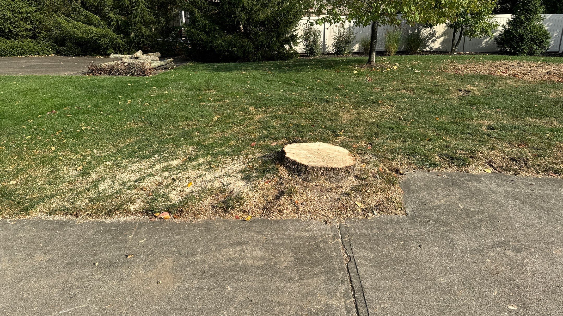 Turf Restoration using LEED Certified Sod by Reisenberg’s Lawn & Landscape, LLC