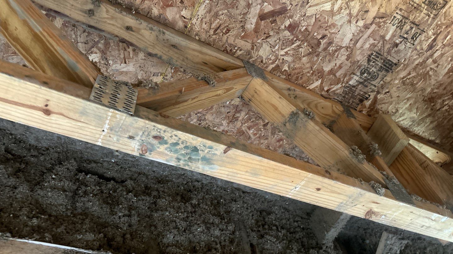 Current restoration project by RJ's Reliable Construction
