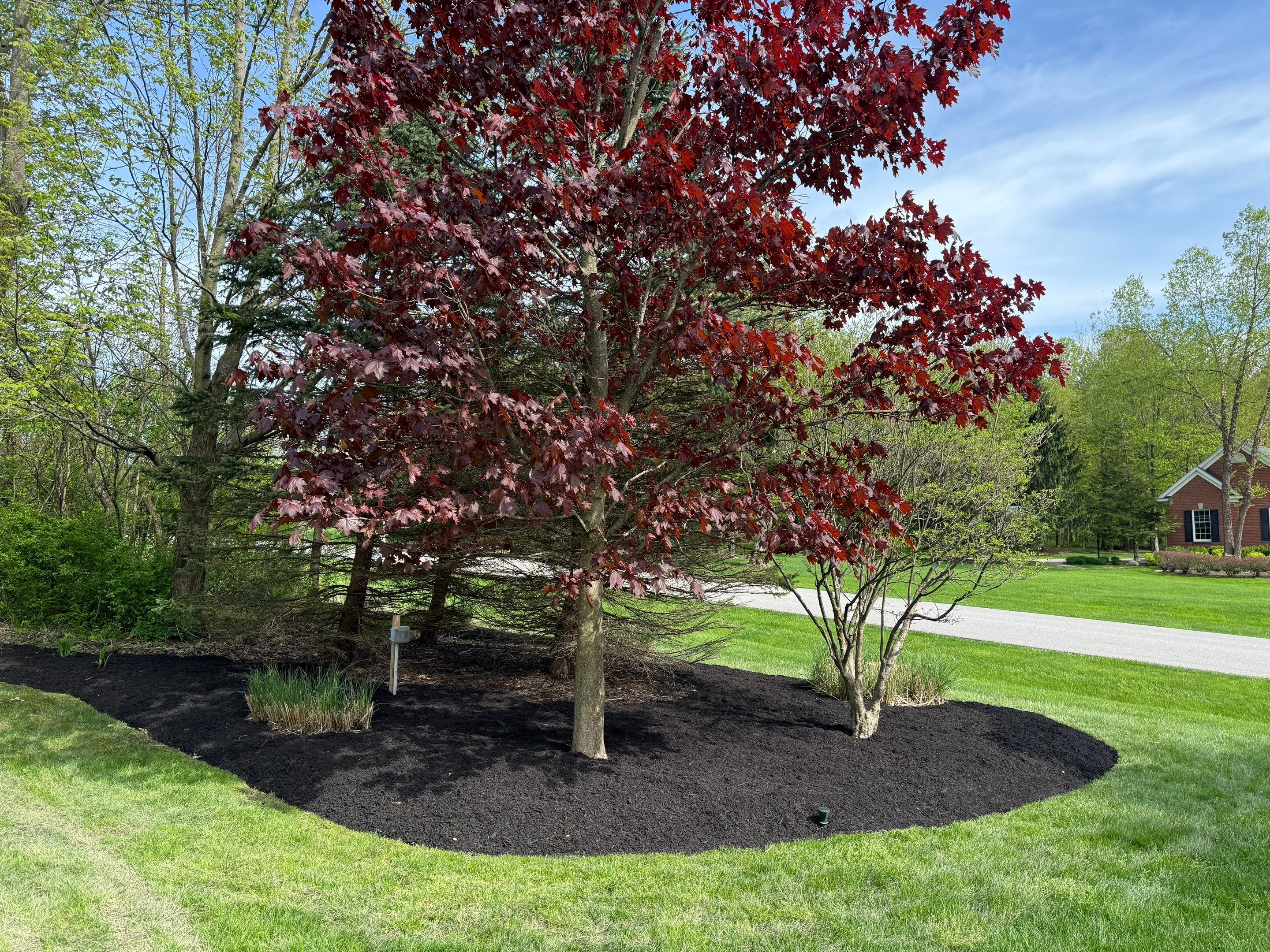 Acreage Maintenance Project by Elm Rose Gardens