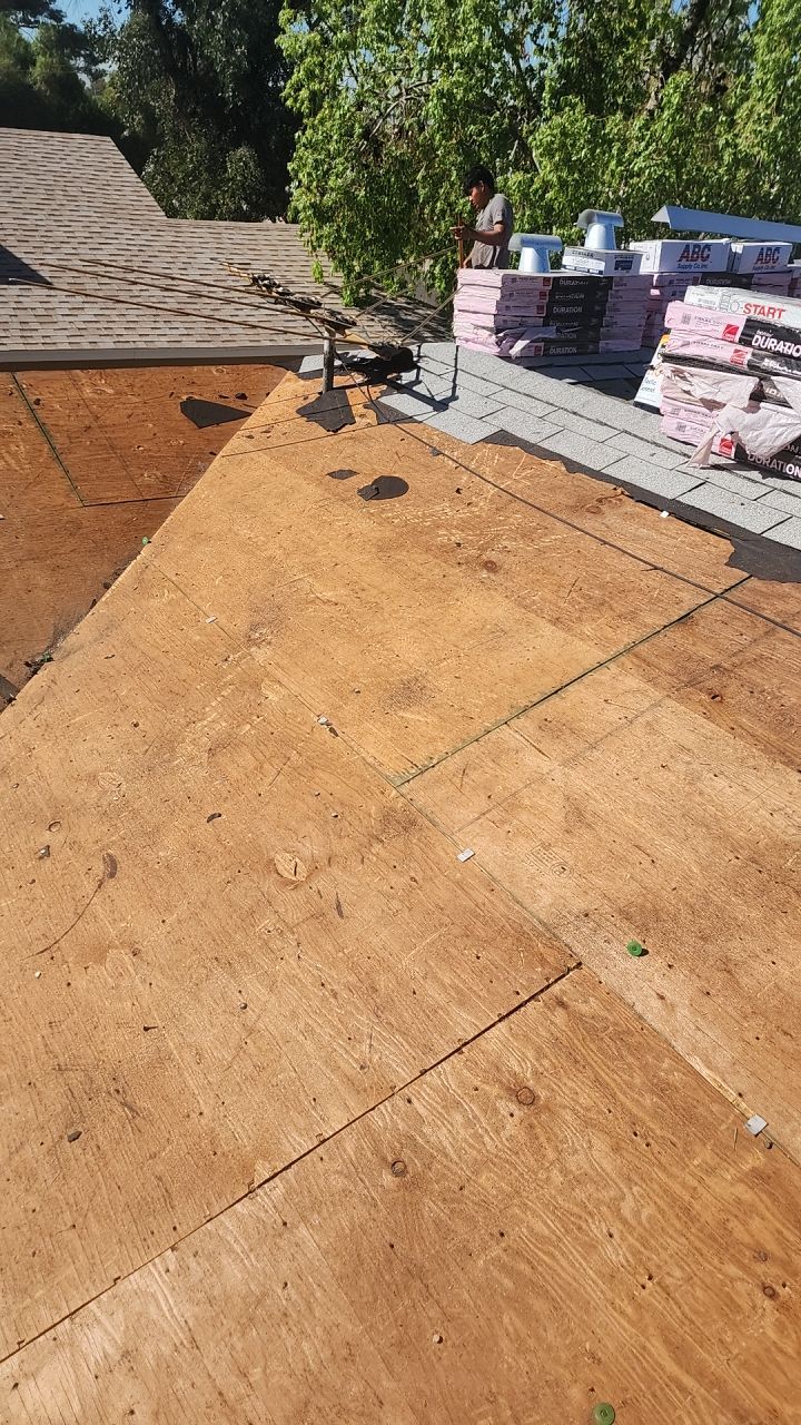 Silver Birch Shingles by Reimagine Roofing