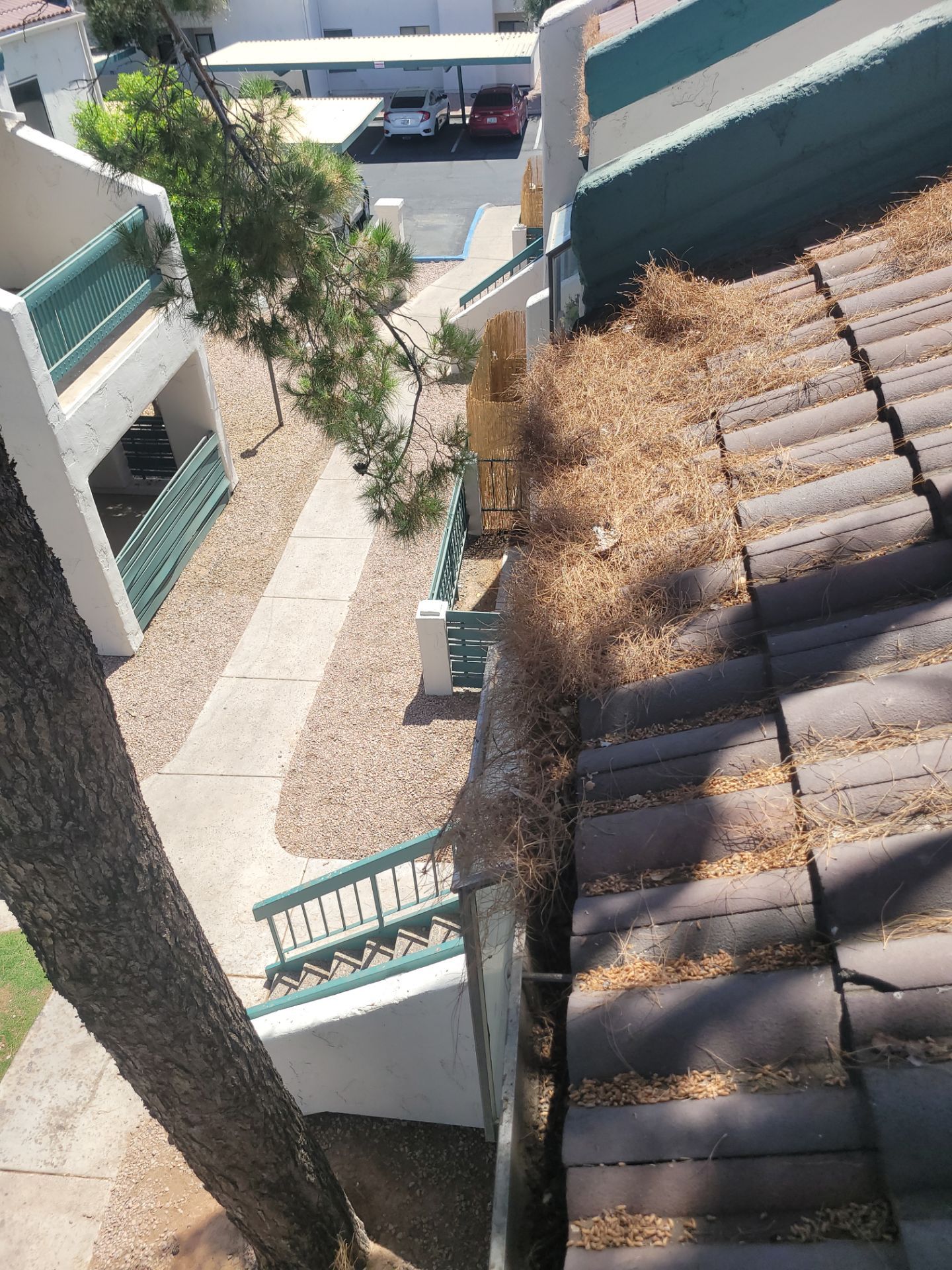 Commercial gutter cleaning Scottsdale & Tempe before photo with filled gutters