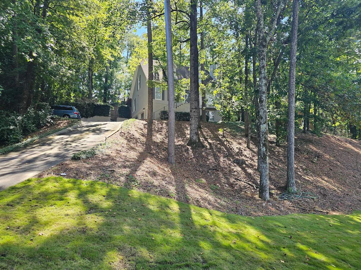 Carden Project in Hoover by The Window Source