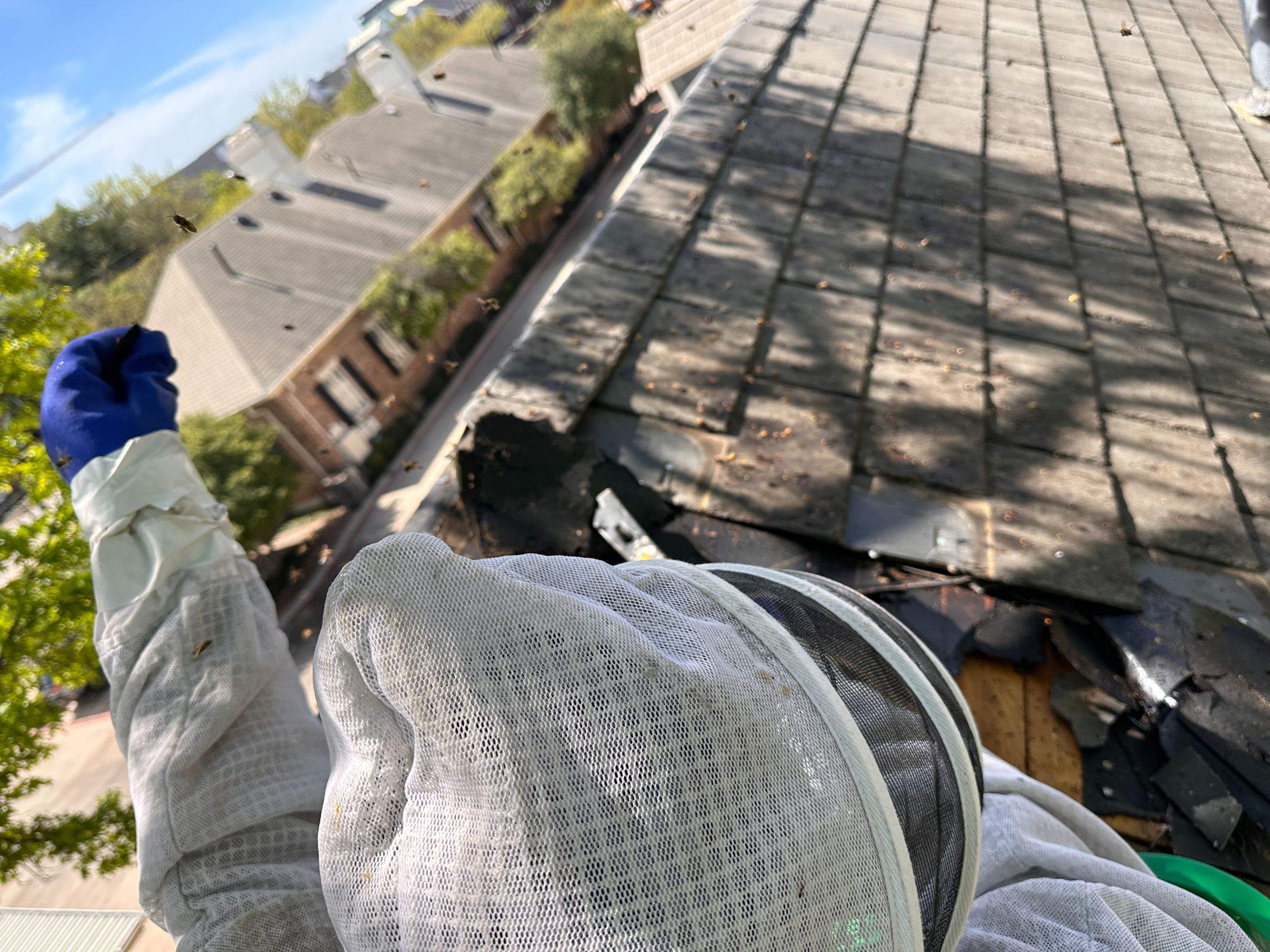 Commercial Roof by Rockwall Honey Bee Company