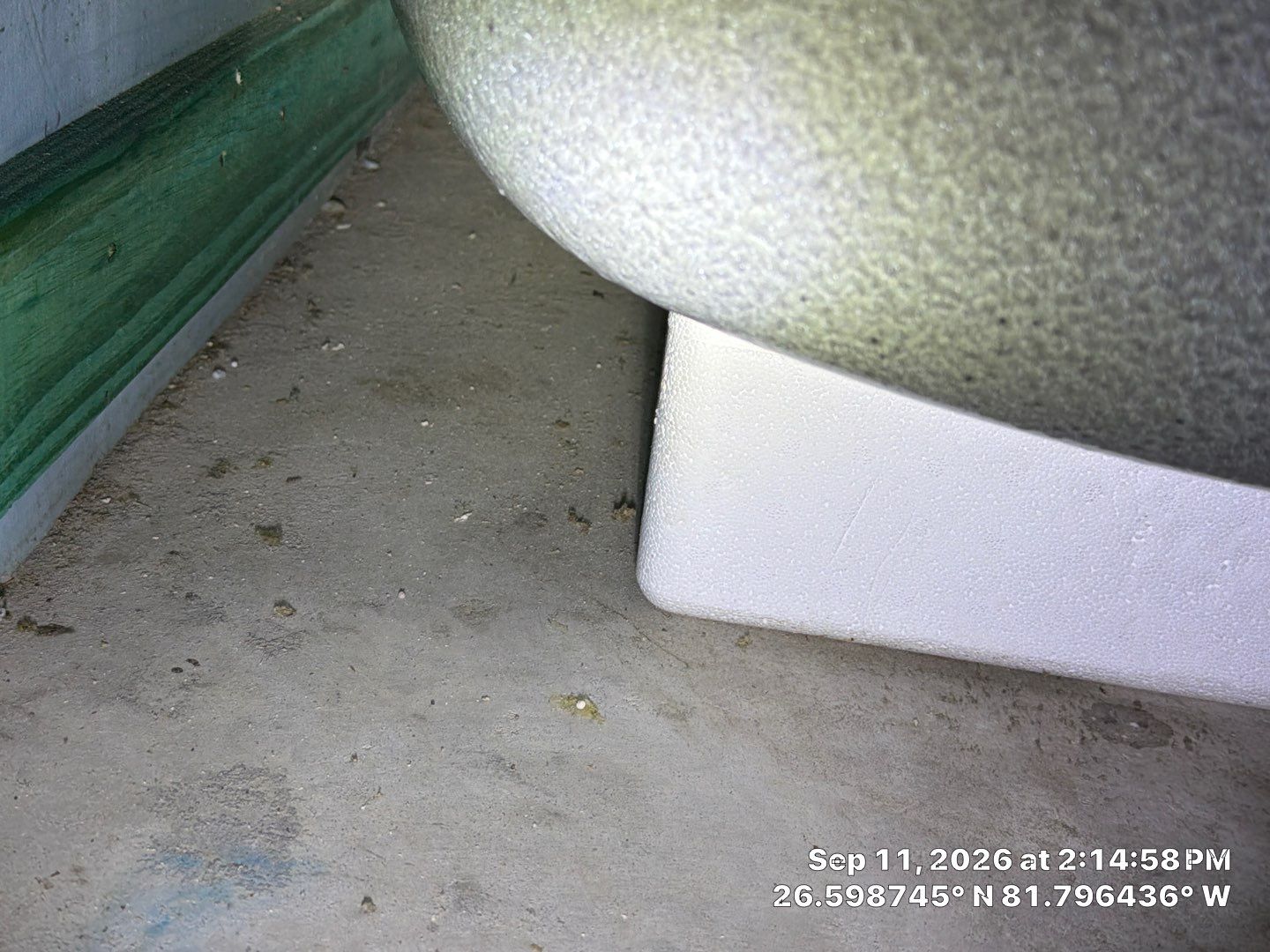 Fort Myers Water Damage Restoration and Professional Mold Remediation by Microscope
