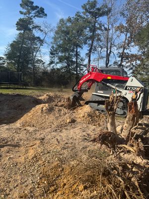 Stump Grinding & Removal In Project in Coldspring