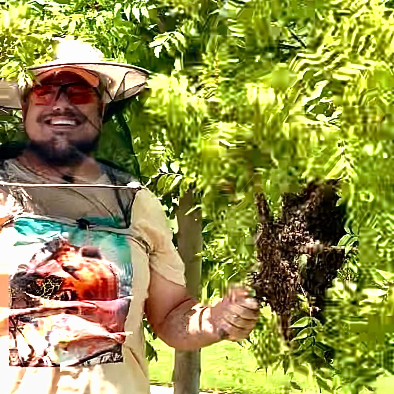 Swarm on a Branch by Rockwall Honey Bee Company